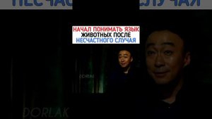 Дорама «Спасти панду» Начал понимать язык животных 😳
