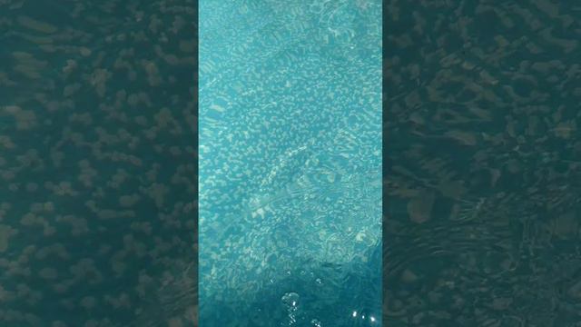 Как и обещал, сделал обзор как отработала 37% перекись в бассейне спустя два дня. смотреть онлайн