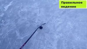 Видеоурок #1. Дриблинг или ведение шайбы в хоккее.