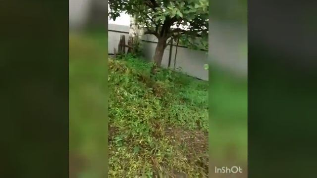 12.06.21.ДЕНЬ РОССИИ.Натягиваем натяжной потолок.Сад зарос.Работа в саду. смотреть онлайн