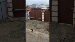 Управление распашной автоматикой ворот с домофона