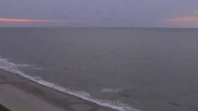 Птицы свили гнездо на балконе — значение приметы смотреть онлайн