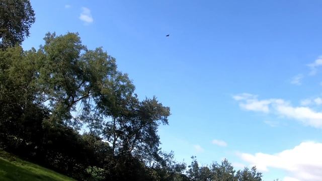 Slingshot Hunting Pigeon Ferreting Rabbits Catch and Cook смотреть онлайн