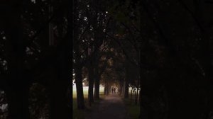 Стихотворение «Я не сдаюсь ,но все таки сдаю» Евгений Евтушенко