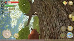 Симулятор Белки 2 #1 Дупло Кида Squirrel simulator 2 на пурумчата