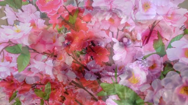 Декоративные деревья для сада купить декоративные для интерьера квартиры ландшафта сада дачи дома смотреть онлайн