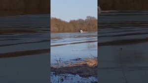 Тактика BOWRIDER 490 Mercury 60 efi bigfoot