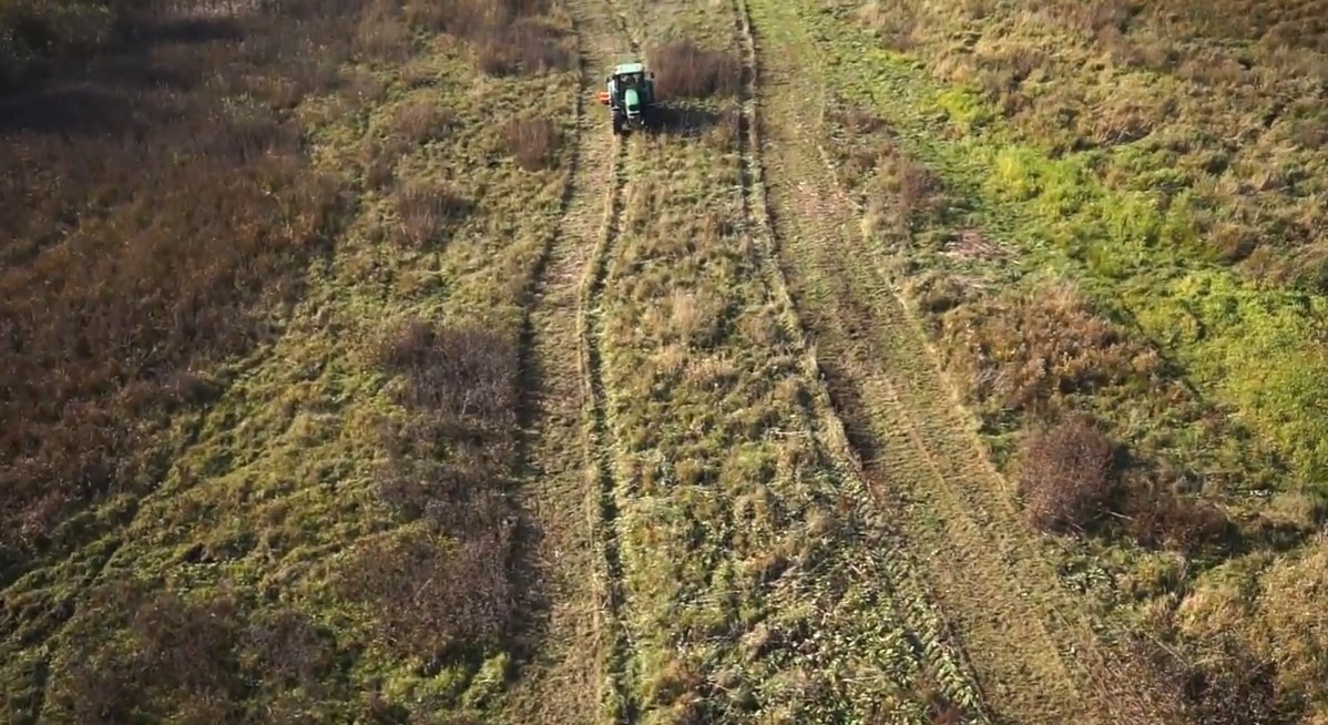 KANGU 190 (1,9м) мульчирователь СаМАШ, навесной, боковой средний класс