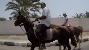 10 лучших экскурсий Шарм Эль Шейха!