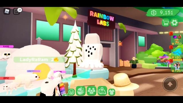 *Shopping spree* Club Roblox Getting Every Pet| Roblox смотреть онлайн