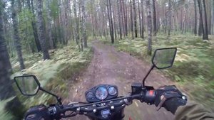 РЕЙСЕР ФОРЕСТЕР 200 ПРОХВАТ ЛЕС