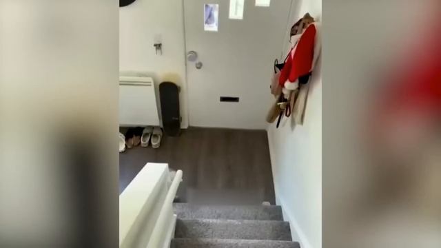 Приколы с котами! УДИВИТЕЛЬНЫЕ КОТЫ С ОЗВУЧКОЙ! Самые смешные животные! Смешные коты! смотреть онлайн