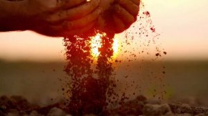 Сады Придонья - сила