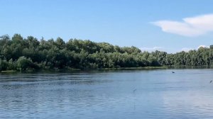 р. Десна Черниговская обл. лето 2021 г.