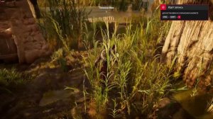 Assassins Creed Origins, папирус, загадка, двойное отчаяние