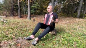 Гармонь в деревне - Песня Старого Извозчика #гармонь чайка