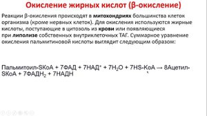 Биохимия. Лекция 57. Липиды. Обмен триацилглицеролов и фосфолипидов. Окисление жирных кислот