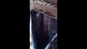 Брикеты из сухой травы своими руками