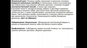 Амебы пищеварительного тракта человека, патогенность которых не установлена. Ротовая, кишечная амеб