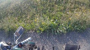 Девушка на мотоцикле Урал – Прокатилась на Урале вечерком