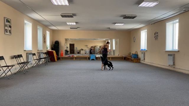 Танцы с собаками Dog dance Тимошина Светлана & Брина Танец "Дикая река". Тренировка № 1. 05.01.2022 смотреть онлайн