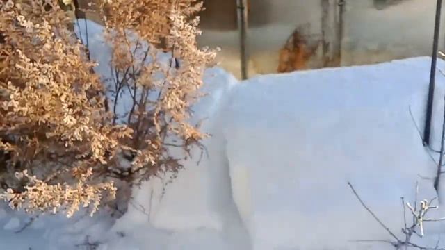 Как убрать снег на теплице? смотреть онлайн