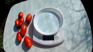 Томат Полоса молнии (Streak Lightning)