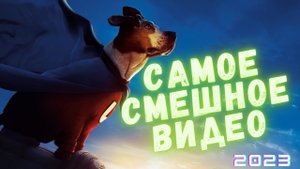 Лучшая подборка свежих приколов январь 2023 Самое смешное видео на rutube Хорошие новости