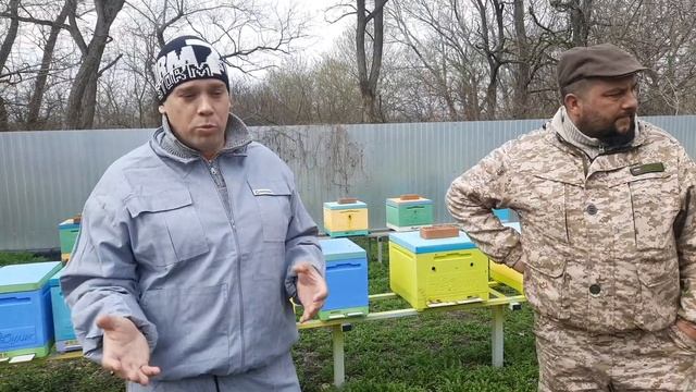 Племенной Материал от Лучшего Матковода Кубани!!! смотреть онлайн