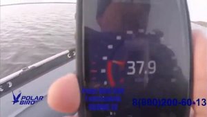 Лодки Polar Bird на воде под мотором - испытание скорости