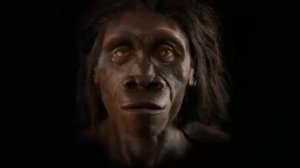 Эволюция_человека_за_одну_минуту.MP4