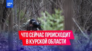 «Бои начинаются в четыре утра и заканчиваются в час ночи»: что сейчас происходит в Курской области