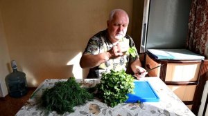 ЗАГОТОВКА ЗЕЛЕНИ НА ЗИМУ. Выпуск №977