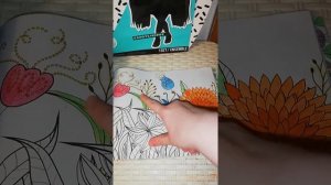 Советы чем лучше всего раскрашивать раскраски - антистрес, и просто обычные раскраски