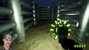 АНОМАЛЬНЫЕ КОШЕЧКИ ► Zoonomaly #2