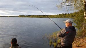 Весенняя рыбалка на фидер. Бешеный клев.