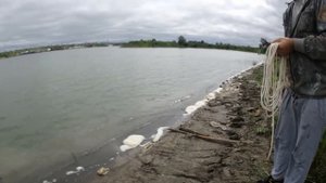 Магнитная рыбалка\ Что поймали?