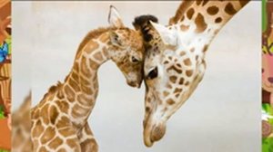 Биология 5 кл., § 2 "Свойства живого"