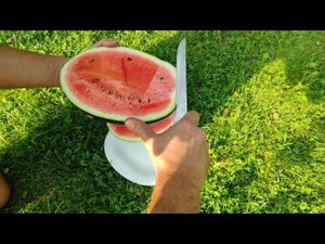 Дегустация большого арбуза 2021