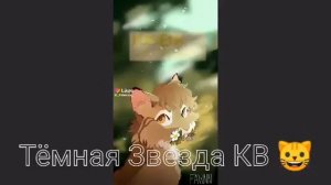 Подборка из лайка| КВ| Коты воители 1 часть