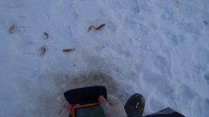 Уловистая мормышка для зимней рыбалки. Зимняя рыбалка 2023 на мормышку