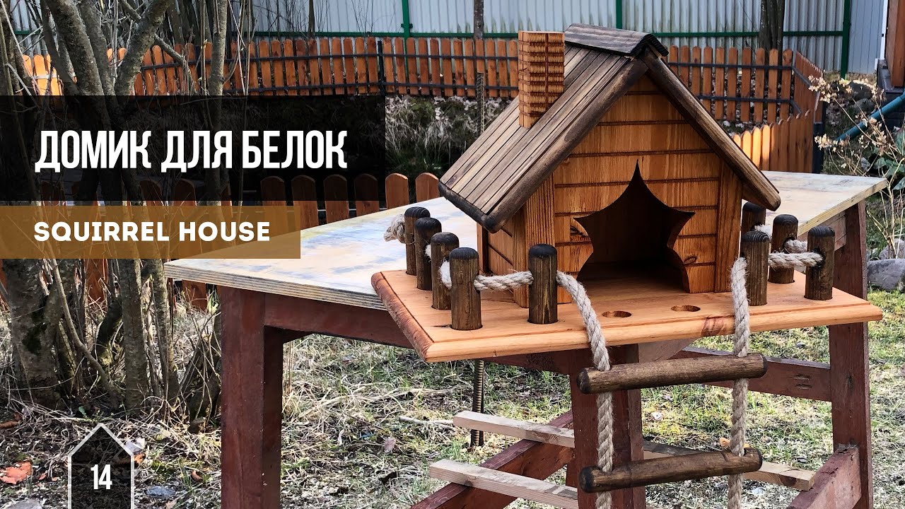 Чертежи домика для белок
