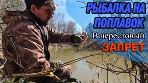 Весенняя Рыбалка (Сузун) 30 апреля 2023г. Рыбалка на поплавок, в нерестовый запрет.