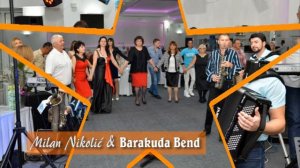 Milan Nikolic i Barakuda Bend - Kolo  (AUDIO)