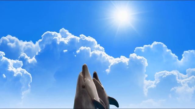 Pure Relaxation Music with Dolphins ??? Healing, Deep Sleep, Meditate, Relax, Stress Relief смотреть онлайн