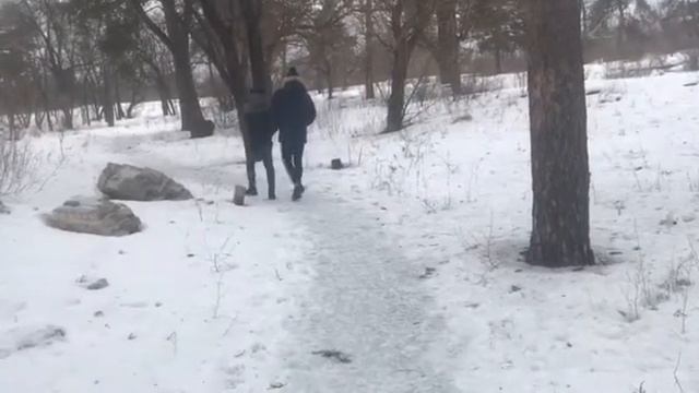 АНАНИСТ