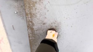 Это не подъезд! Домофон vizit BVD 343R с Emarine считывателем. (г. Самара)