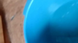 как можно быстро растопить лёд