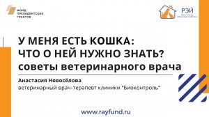 У меня есть кошка: что о ней нужно знать? Советы ветеринарного врача