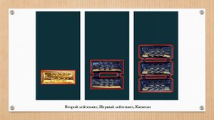 Знаки различия армии Израиля